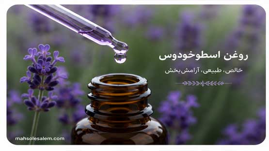 روغن اسطوخودوس 6